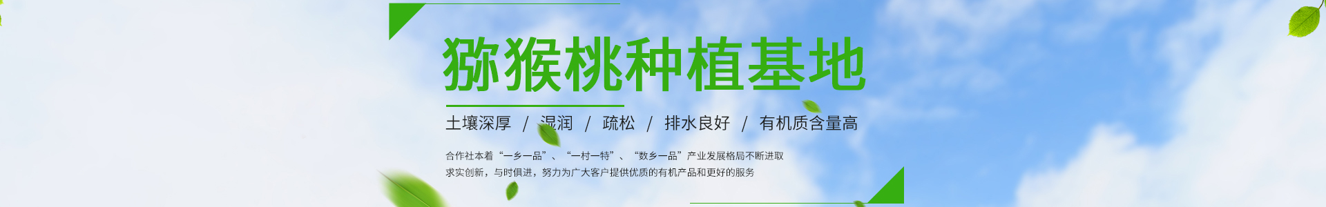 爱游戏官网-顶级在线体育娱乐首选平台